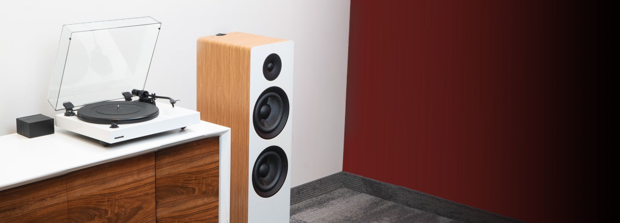 Reference RT82 High Fidelity Vinyl Turntable with PA10 Phono Preamp and Ai81 Elite Powered 2-Way Floorstanding Tower Speakers