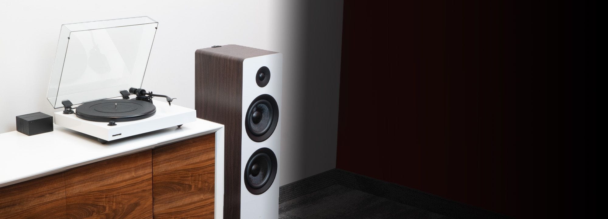 Reference RT82 High Fidelity Vinyl Turntable with PA10 Phono Preamp and Ai81 Elite Powered 2-Way Floorstanding Tower Speakers