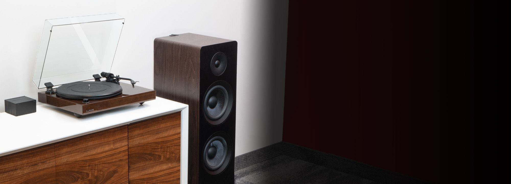 Reference RT82 High Fidelity Vinyl Turntable with PA10 Phono Preamp and Ai81 Elite Powered 2-Way Floorstanding Tower Speakers
