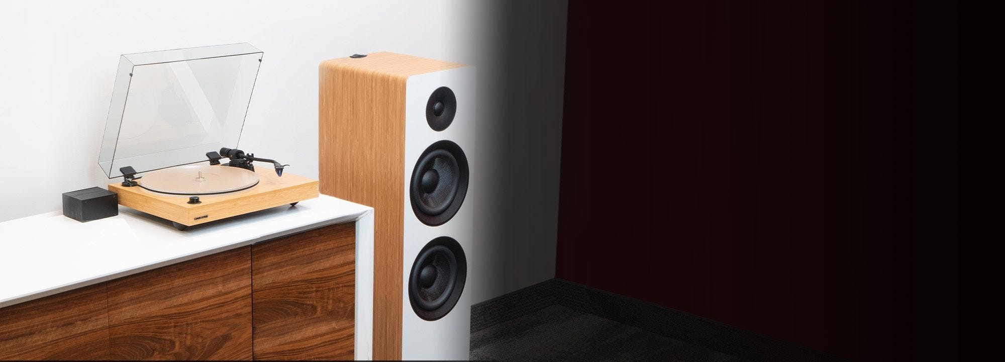 Reference RT85 High Fidelity Vinyl Turntable with PA10 Phono Preamp and Ai81 Elite Powered 2-Way Floorstanding Tower Speakers
