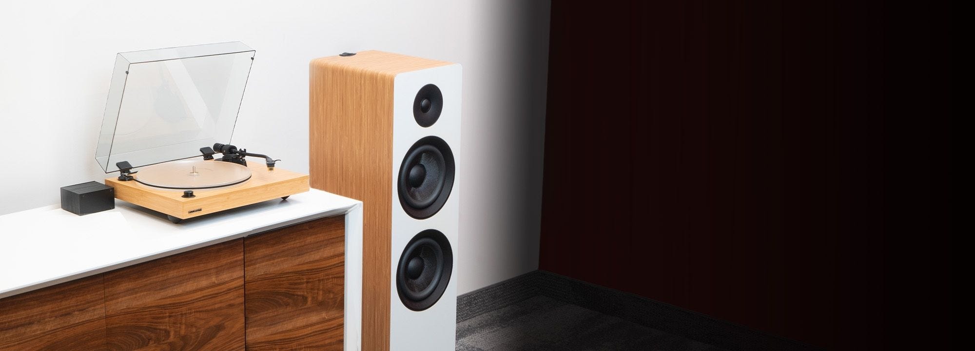 Reference RT85N High Fidelity Vinyl Turntable with PA10 Phono Preamp and Ai81 Elite Powered 2-Way Floorstanding Tower Speakers