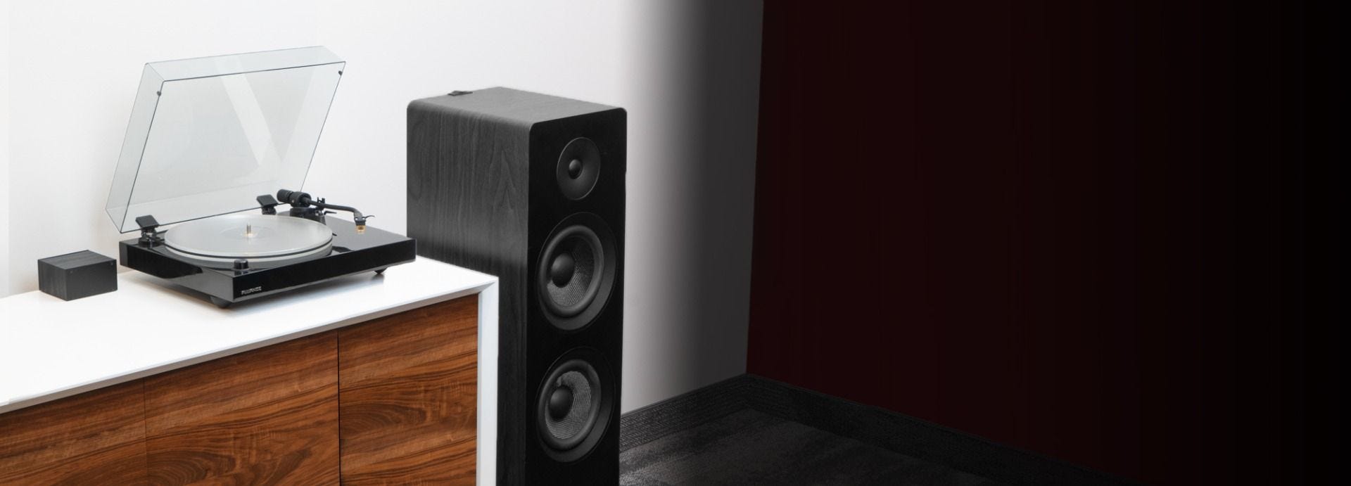 Reference RT85N High Fidelity Vinyl Turntable with PA10 Phono Preamp and Ai81 Elite Powered 2-Way Floorstanding Tower Speakers