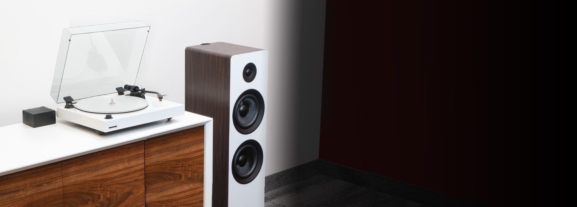 Reference RT85N High Fidelity Vinyl Turntable with PA10 Phono Preamp and Ai81 Elite Powered 2-Way Floorstanding Tower Speakers