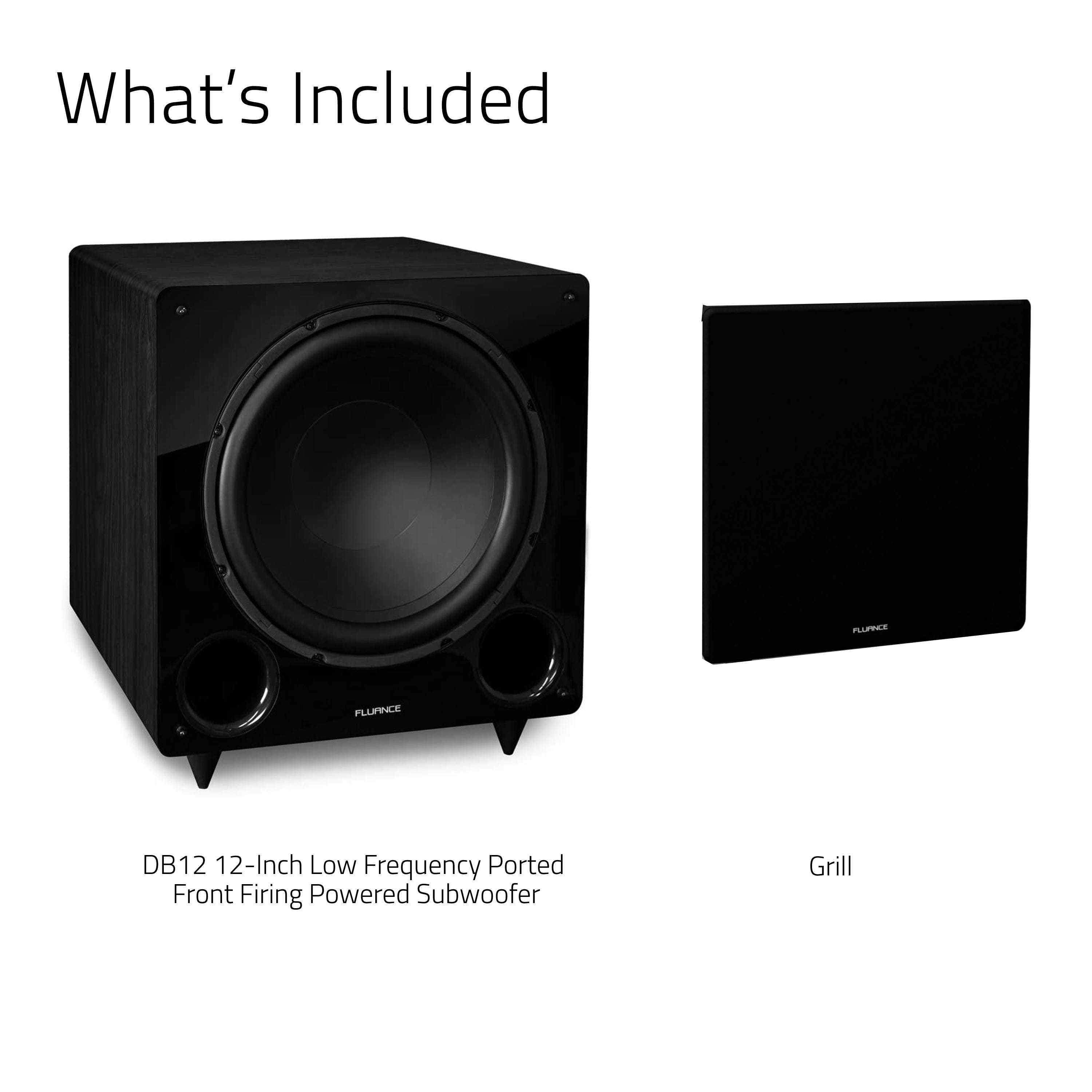 DB12 12-inch Low Frequency Ported Front Firing Powered Subwoofer