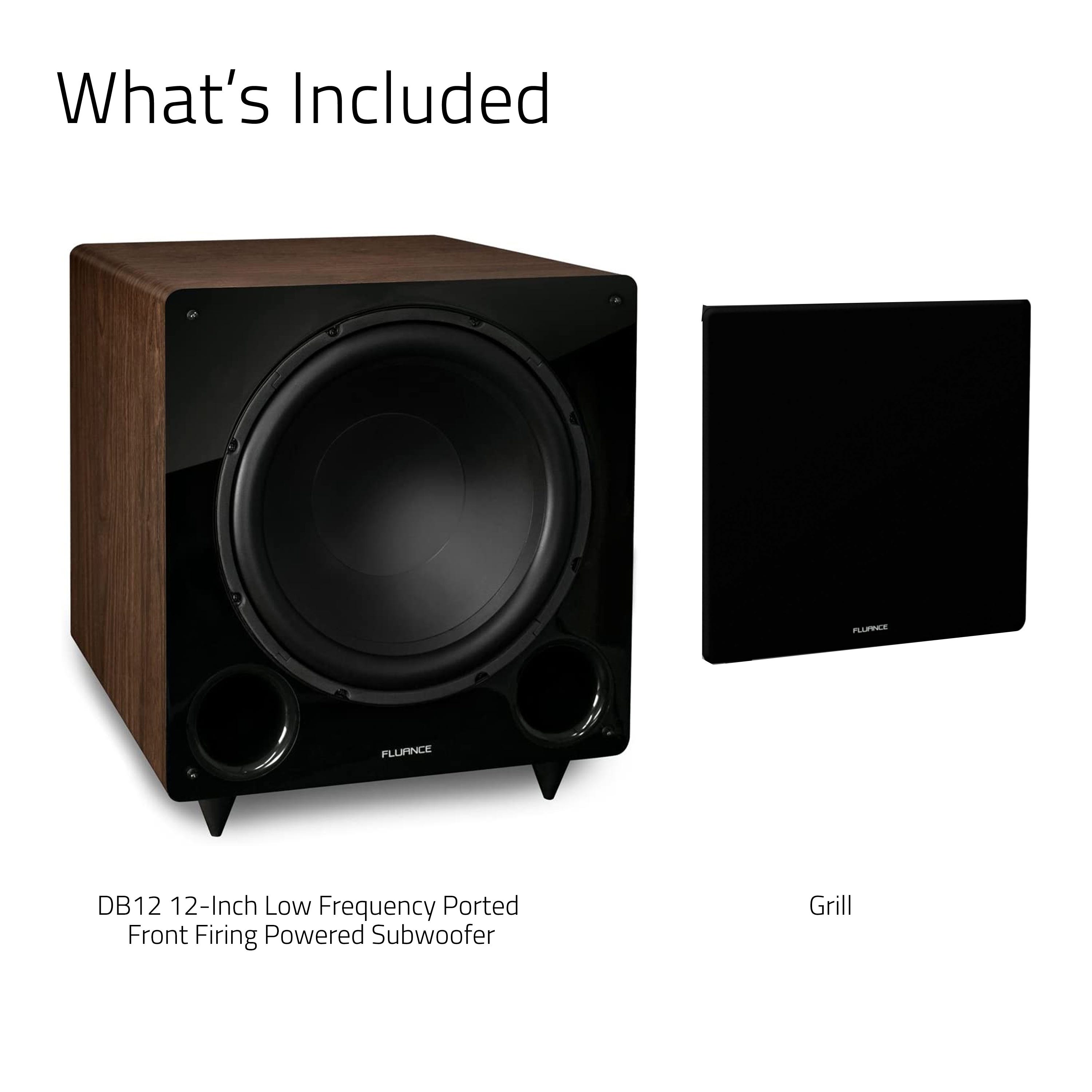 DB12 12-inch Low Frequency Ported Front Firing Powered Subwoofer
