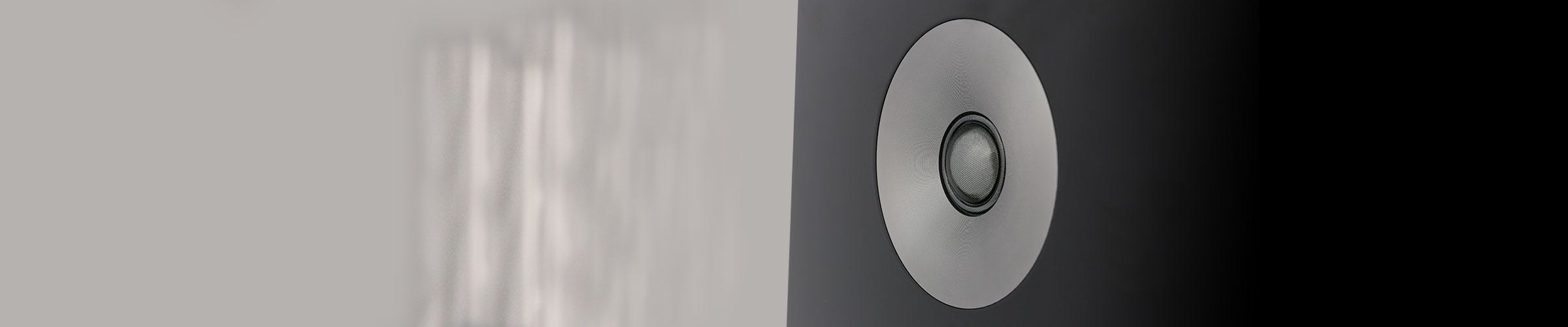 Signature Series Bipolar speakers- tweeter